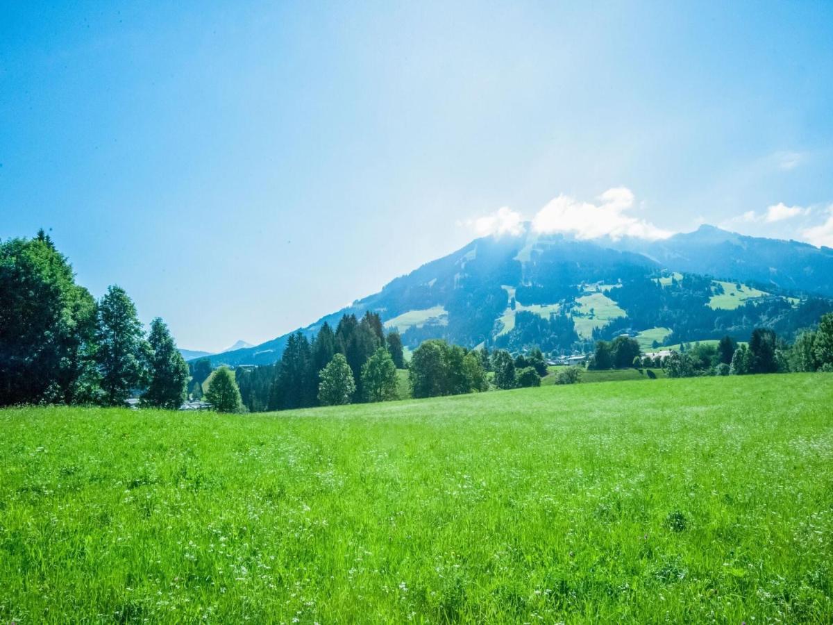 Cosy Flat In Westendorf In Tyrol Holzham Экстерьер фото