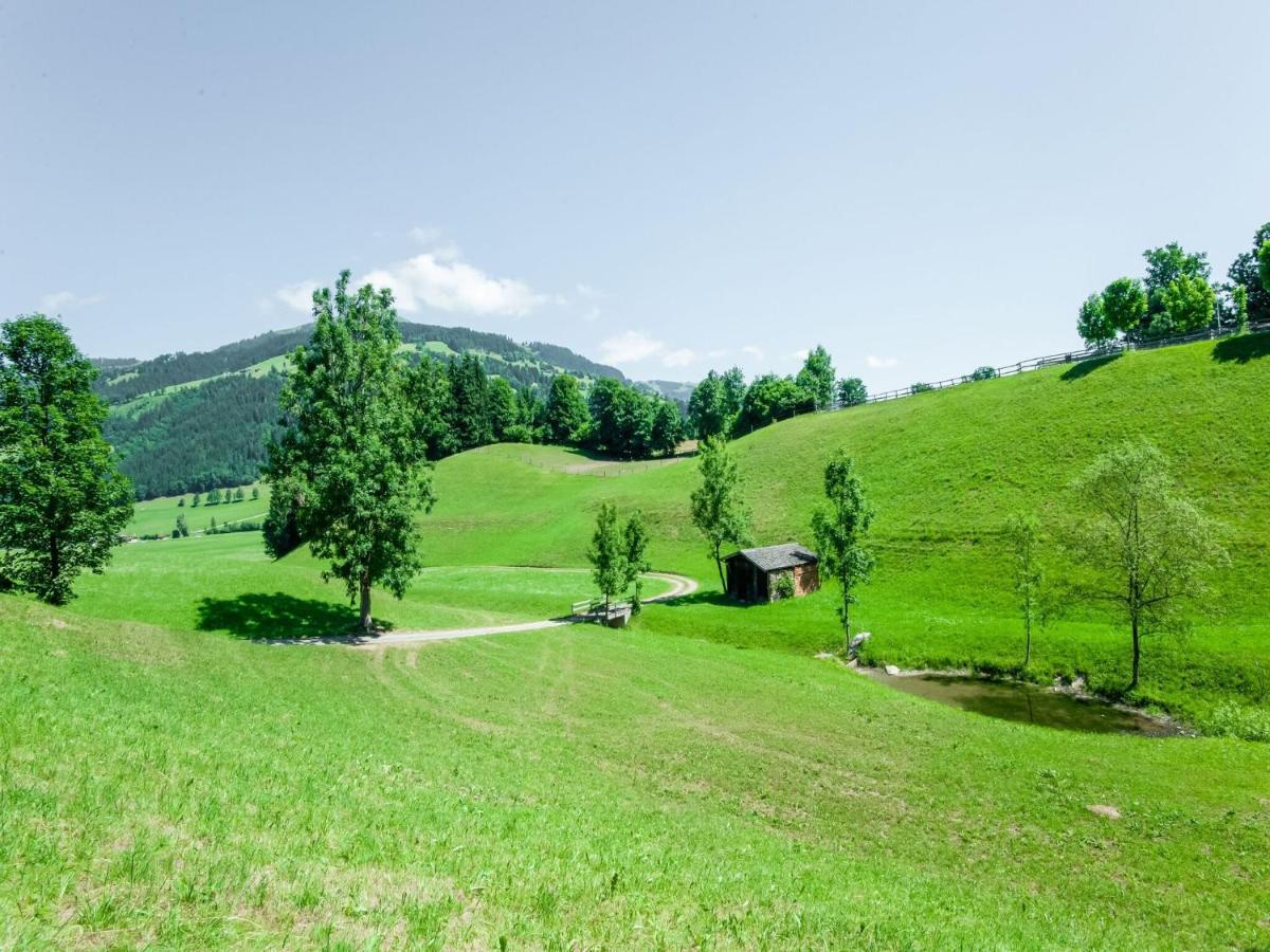 Cosy Flat In Westendorf In Tyrol Holzham Экстерьер фото